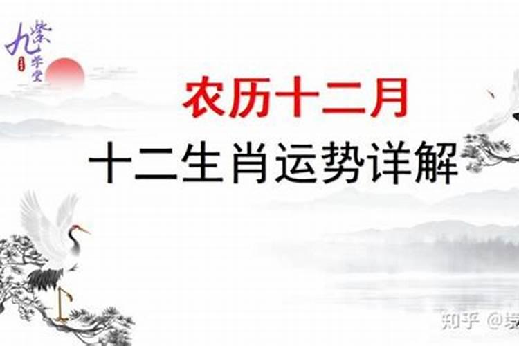 2020年农历12月属鼠人运势