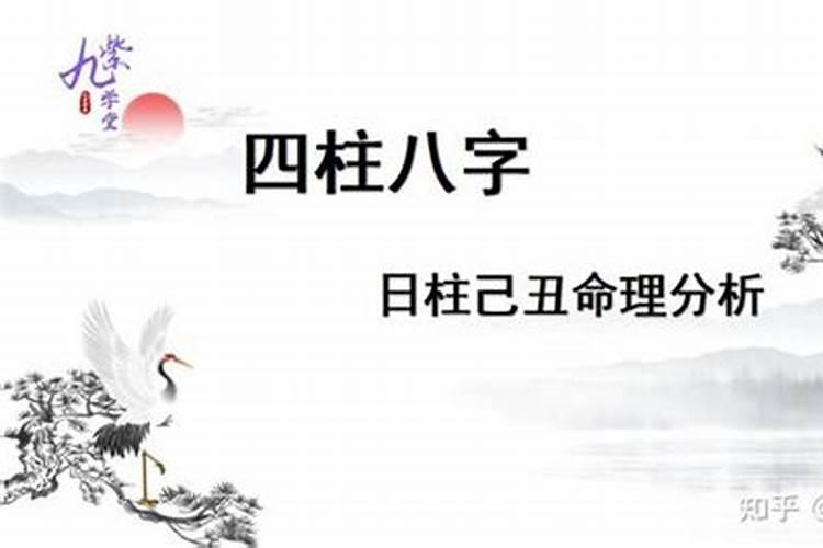 八字乙丑和己丑一样吗