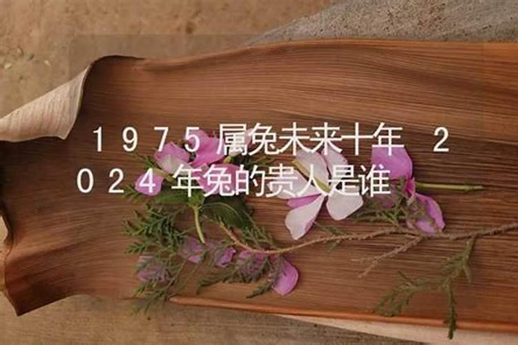 75属兔未来十年大运