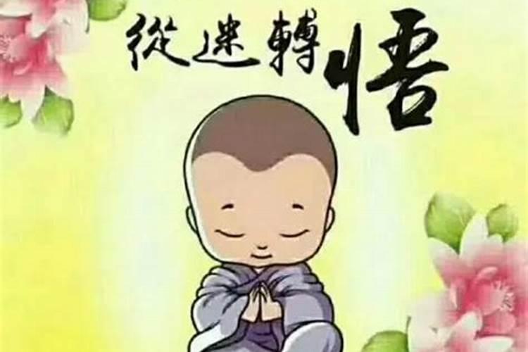 梦见到处都是死的人