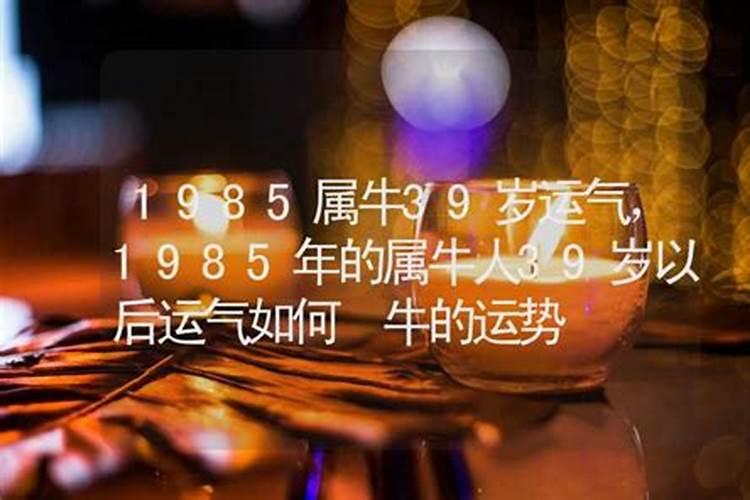 1985牛八月运势如何