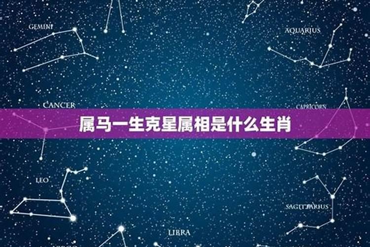 属马的人克星是什么