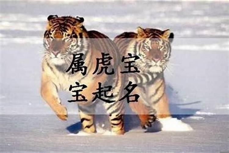 属虎金命适合什么名字