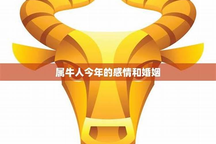 犯太岁是什么意思2023蛇年运