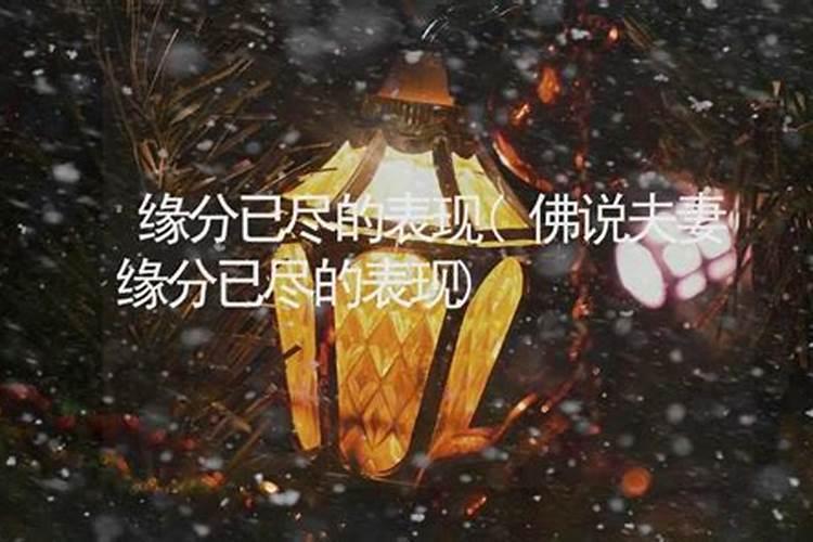 八字算命神巴巴测算另一半