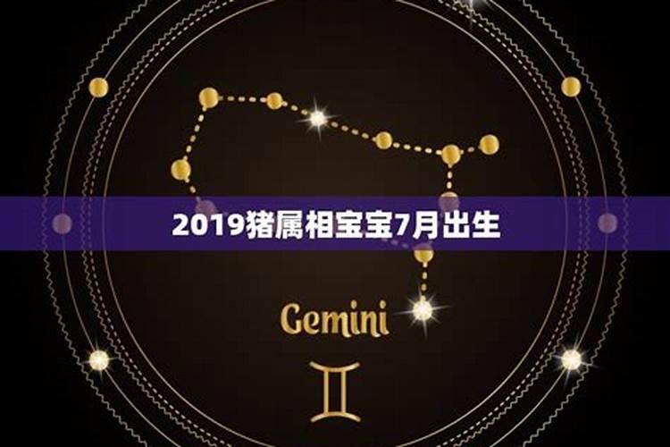 2019年腊月出生的猪宝宝五行缺什么