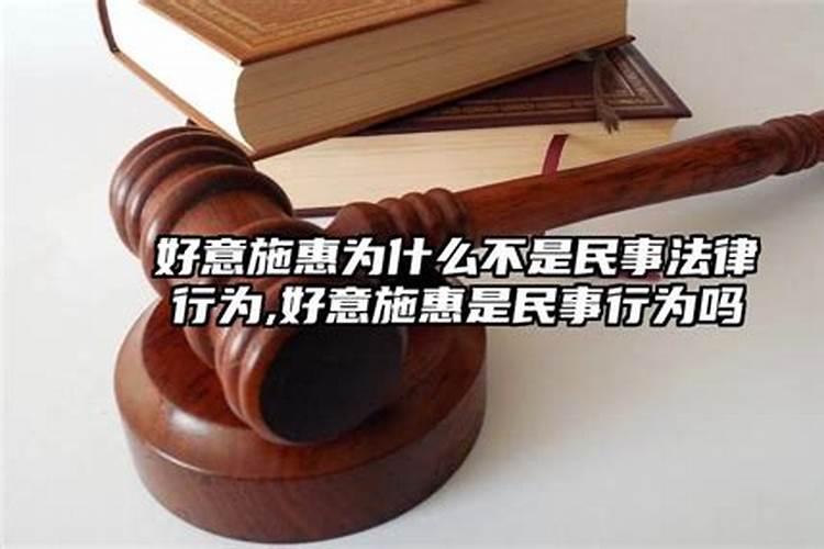 婚姻登记是民事法律行为吗