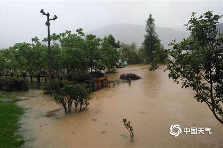 梦见刮风下大雨房屋倒塌