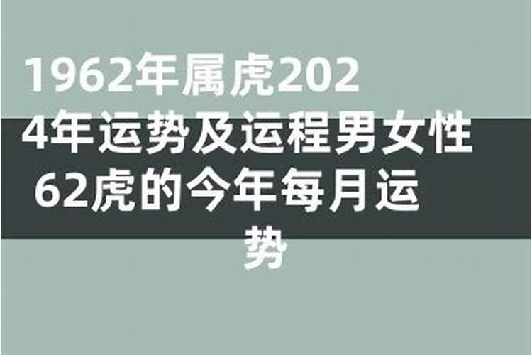 属虎2024年运程详解