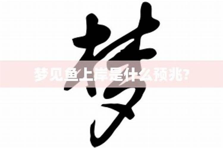 梦见鱼上岸是什么意思