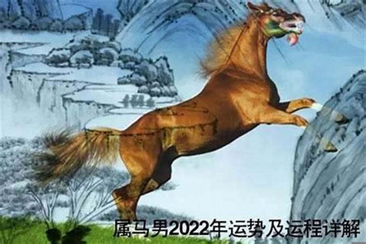 马的2022虎年运势