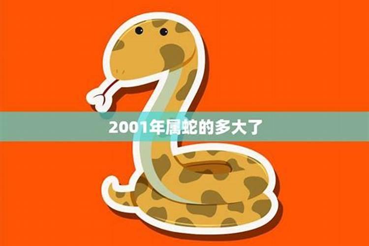 2001年属蛇人的灾难年龄