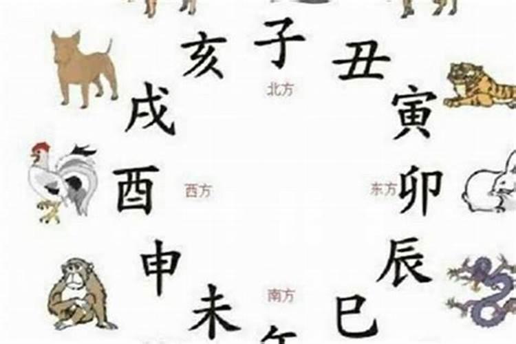 八字和流年相合代表什么生肖