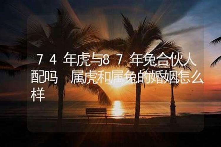 74属虎和75属兔的婚姻怎么样