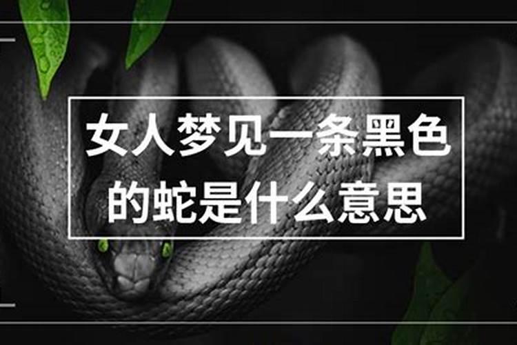 梦见黑大蛇是什么意思