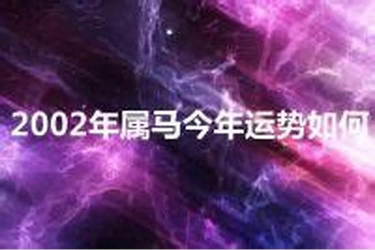 今年属马人的运势怎么样2002年出生是什么命