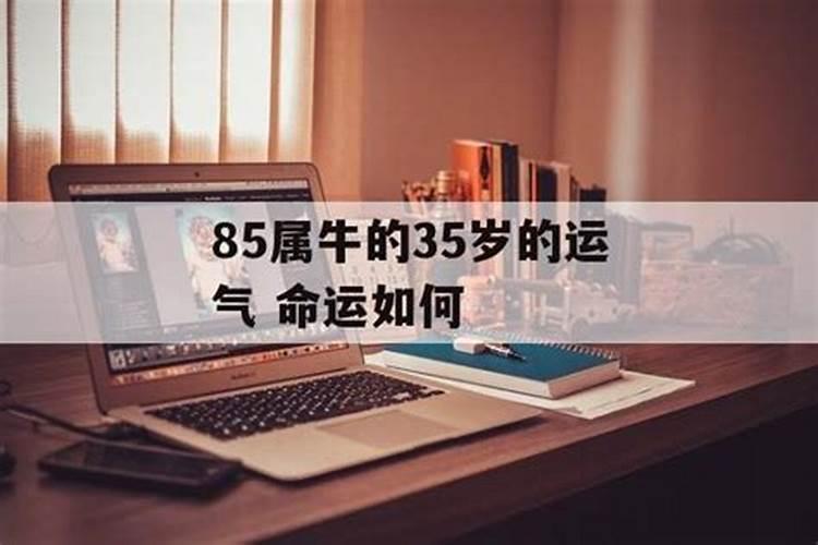 85属牛的35岁的运气