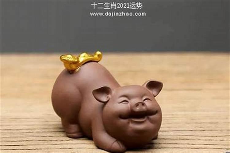 属猪的今年3月份运程如何呢