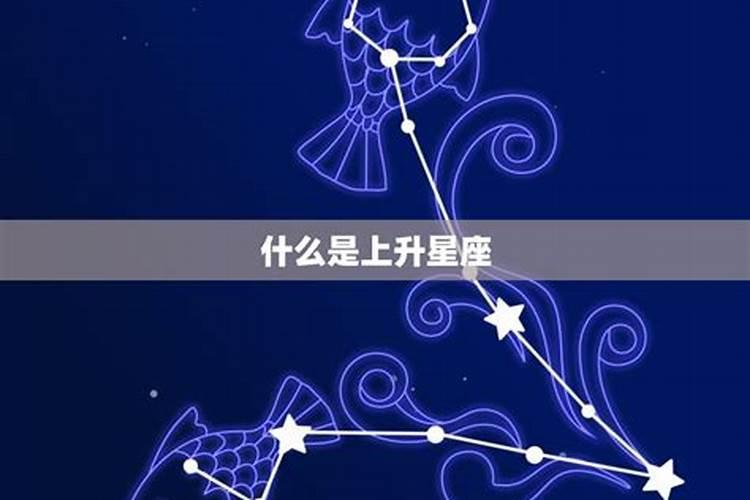 3月15的双鱼上升星座是什么