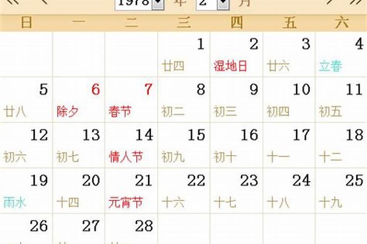 78年阴历5月24出生女马的运势