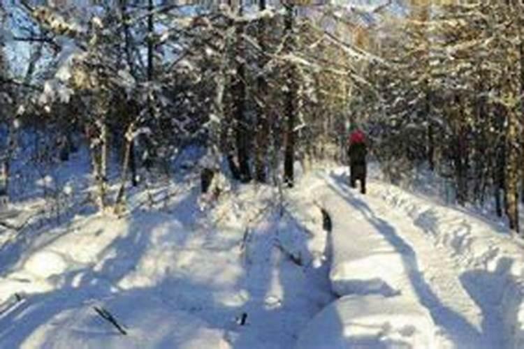 梦见道路上很厚的雪