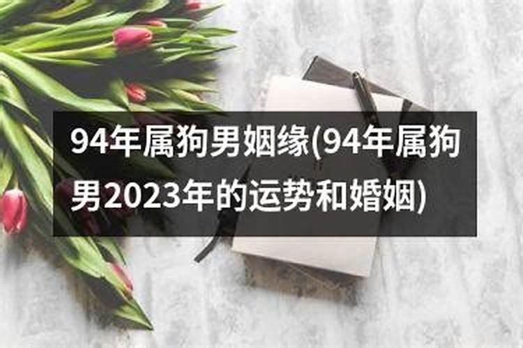 94年属狗男2021年的运势和婚姻