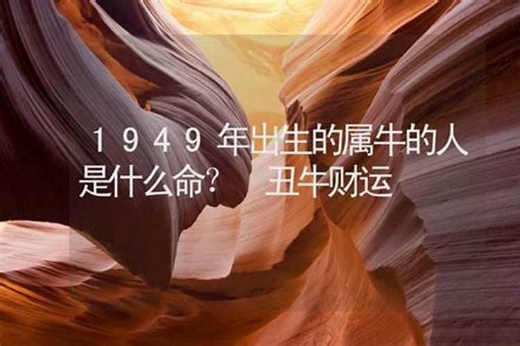 1949年出生属什么生肖属相