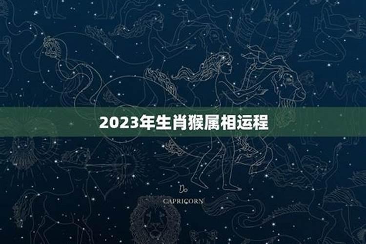 1980年猴2021年运势及运程