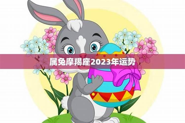 属兔魔羯2023年运势如何