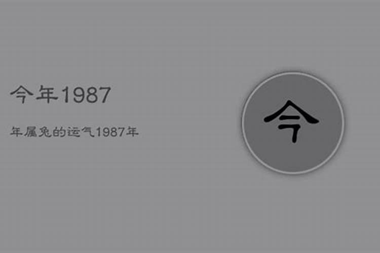 1987年属兔人2021年下半年运势及运程