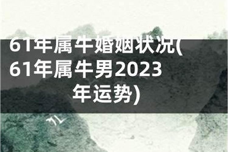 1961年属牛男性婚姻