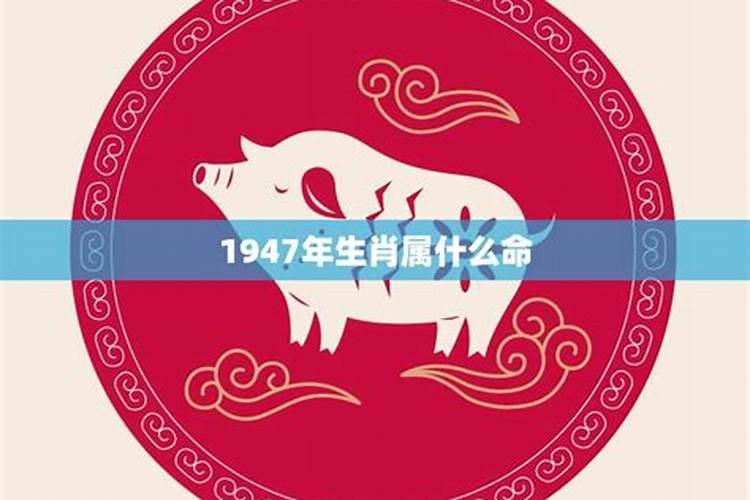 属猪的1947年运势怎么样呢男