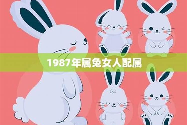 1987年属兔女人的一生运程