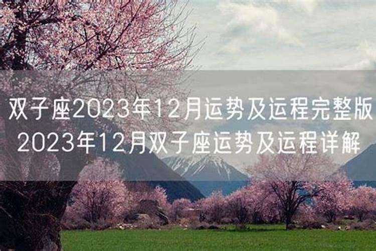 双子运势2021年