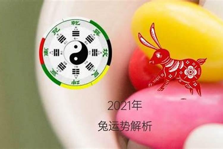 2021年8月属兔的运势