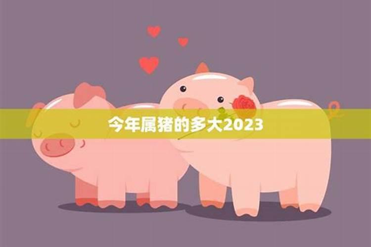 2023猪年宝宝几月出生运势好些呢女孩