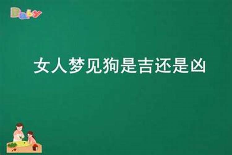 病人梦见狗是吉还是凶