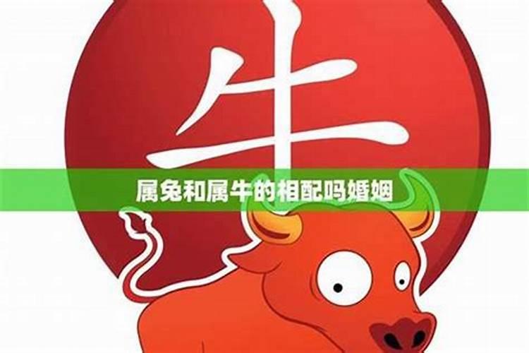 五十岁属鸡今年的运程如何呢女性