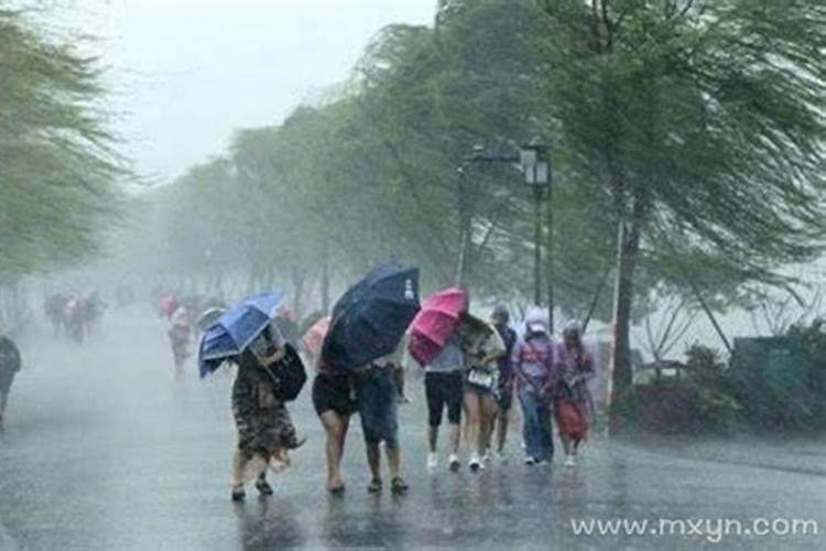 梦见狂风暴雨有什么预兆吗周公解梦