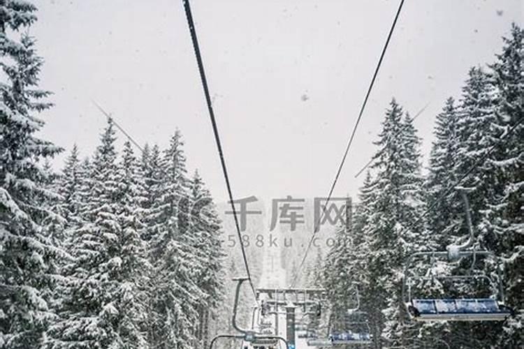 梦见山顶树上有雪花