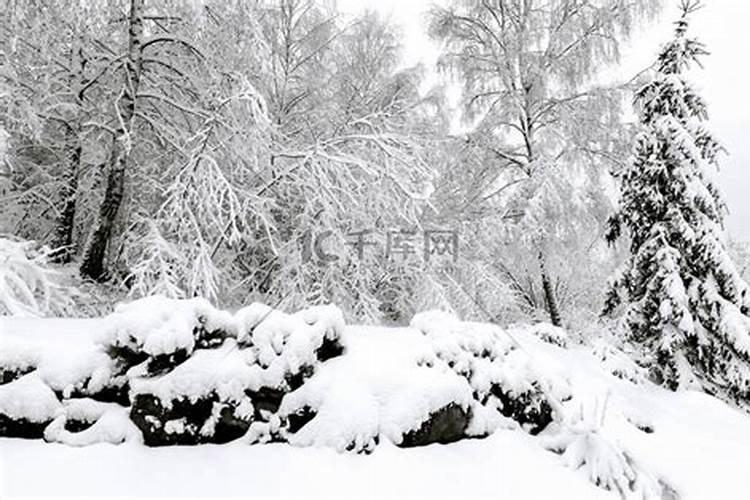 梦见山顶树上有雪花什么意思啊周公解梦