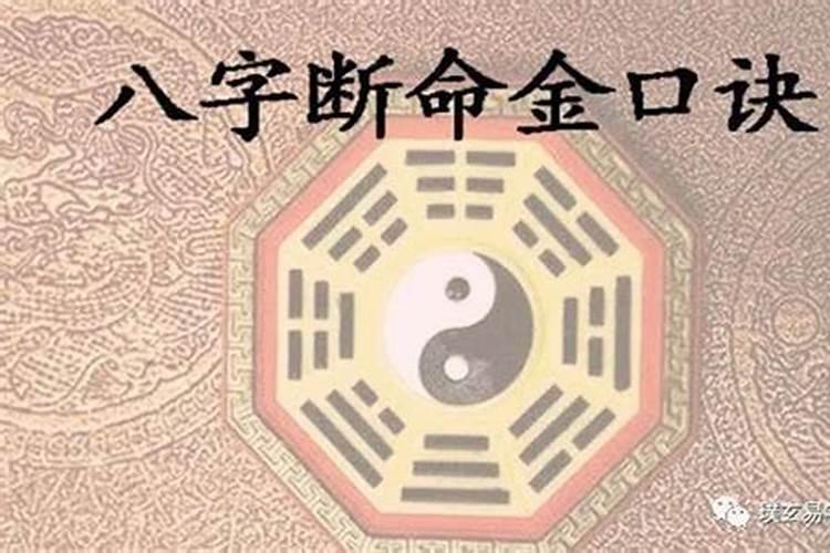 公司风水金鱼养几条好旺财