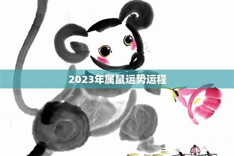 2023年属鼠的运程怎样