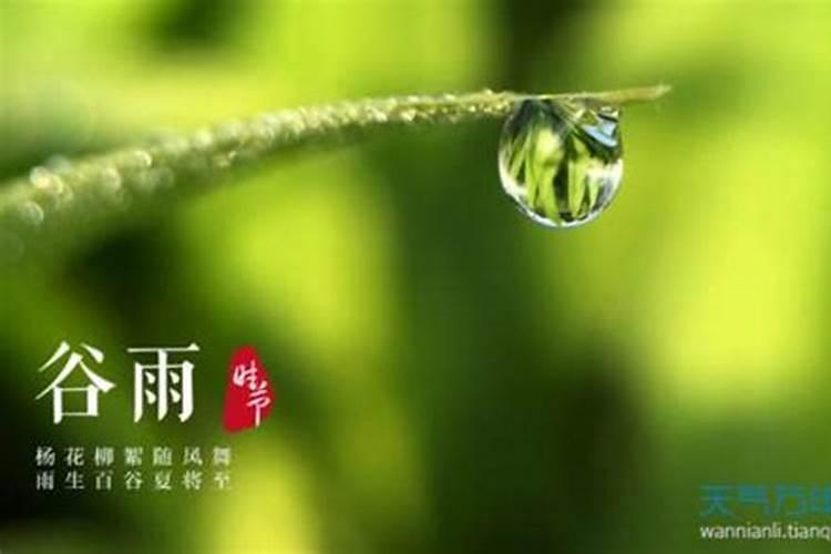 谷雨出生的人好吗,命运怎么样