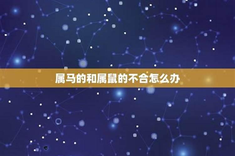 属马和属鼠的婚配不合怎么化解相冲呢