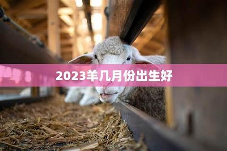 2023年属羊几月份出生全程运势好些