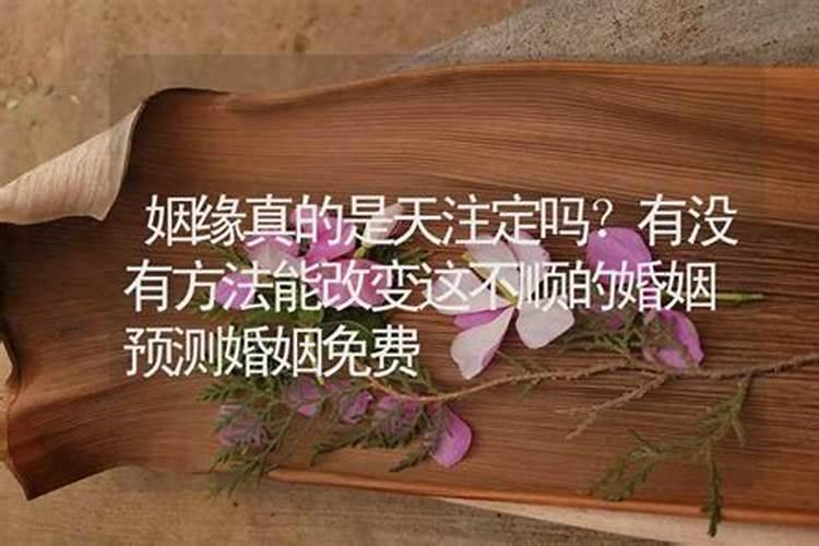 天配婚姻是什么意思