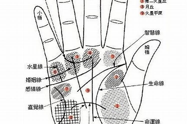 从手相看2023年运势