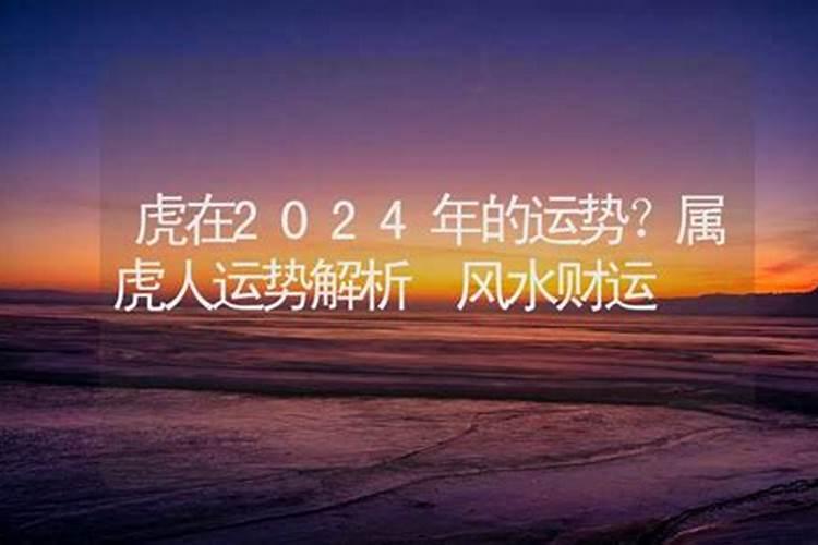 属猴的今年7十几了