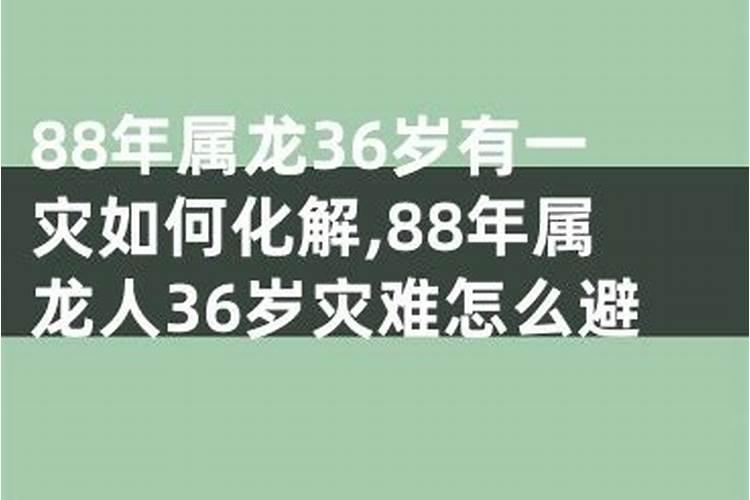 88年属龙女人33岁灾难怎么避